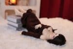 Jessamine Silicone Sexy 60cm Sex Doll - Image 15